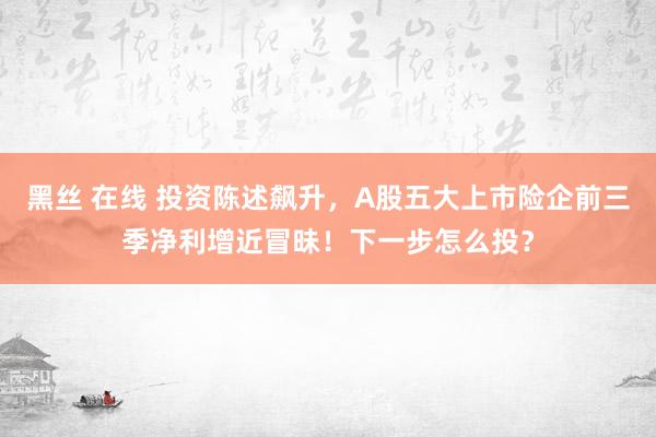 黑丝 在线 投资陈述飙升，A股五大上市险企前三季净利增近冒昧！下一步怎么投？