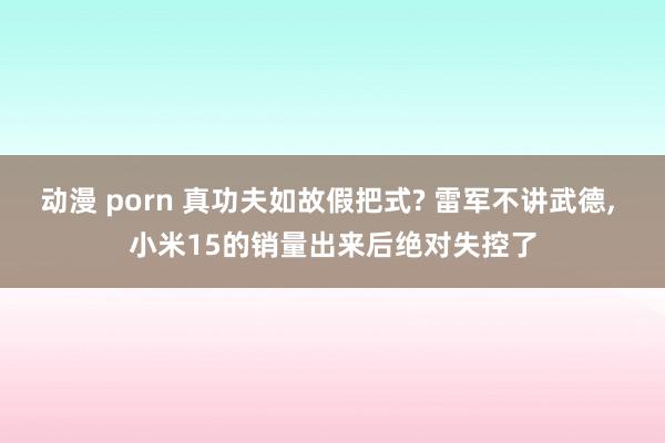 动漫 porn 真功夫如故假把式? 雷军不讲武德， 小米15的销量出来后绝对失控了