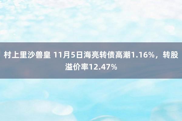 村上里沙兽皇 11月5日海亮转债高潮1.16%，转股溢价率12.47%