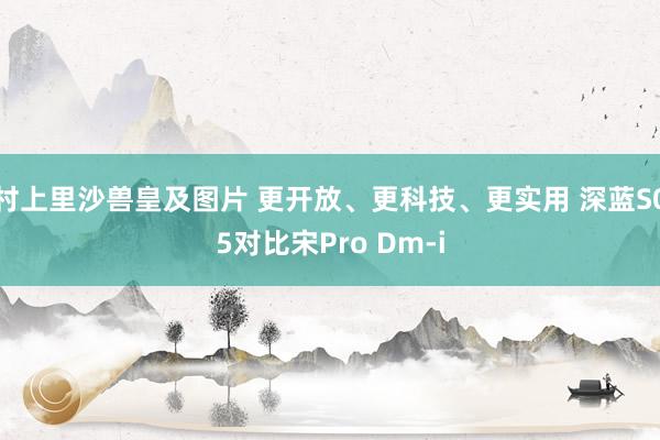 村上里沙兽皇及图片 更开放、更科技、更实用 深蓝S05对比宋Pro Dm-i