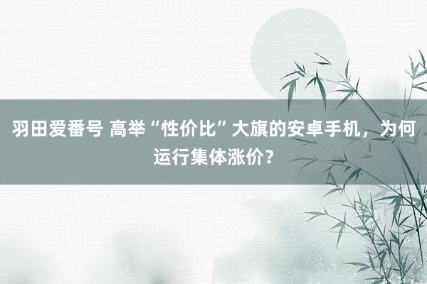 羽田爱番号 高举“性价比”大旗的安卓手机，为何运行集体涨价？