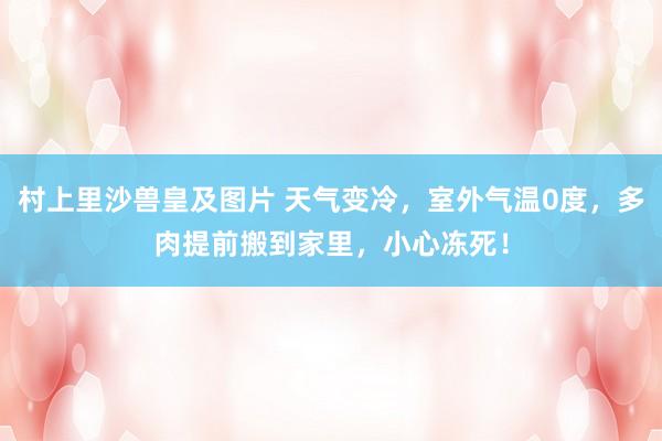 村上里沙兽皇及图片 天气变冷，室外气温0度，多肉提前搬到家里，小心冻死！