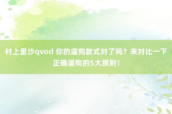 村上里沙qvod 你的遛狗款式对了吗？来对比一下正确遛狗的5大原则！