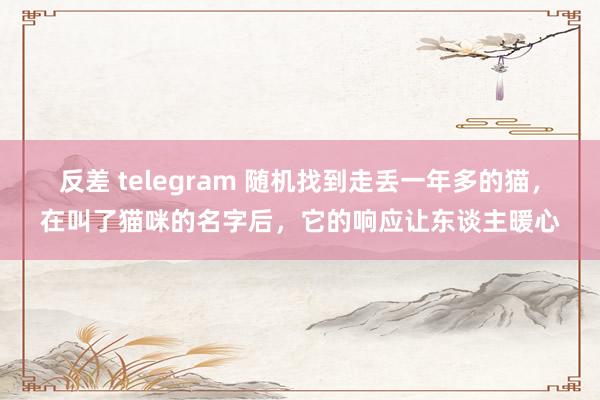 反差 telegram 随机找到走丢一年多的猫，在叫了猫咪的名字后，它的响应让东谈主暖心