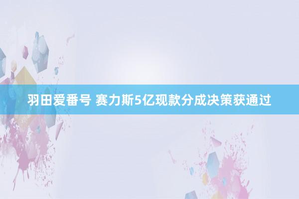 羽田爱番号 赛力斯5亿现款分成决策获通过