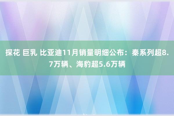 探花 巨乳 比亚迪11月销量明细公布：秦系列超8.7万辆、海豹超5.6万辆