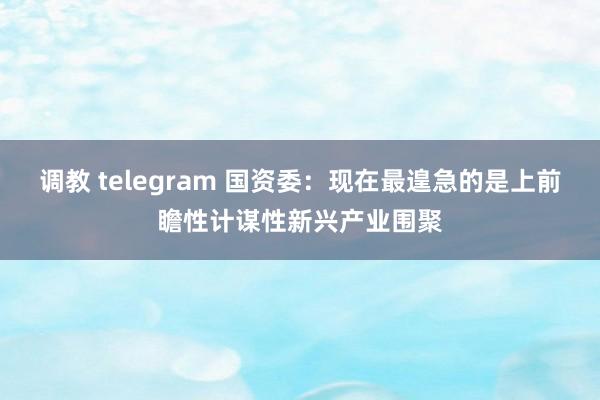 调教 telegram 国资委：现在最遑急的是上前瞻性计谋性新兴产业围聚