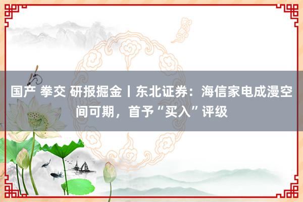 国产 拳交 研报掘金丨东北证券：海信家电成漫空间可期，首予“买入”评级