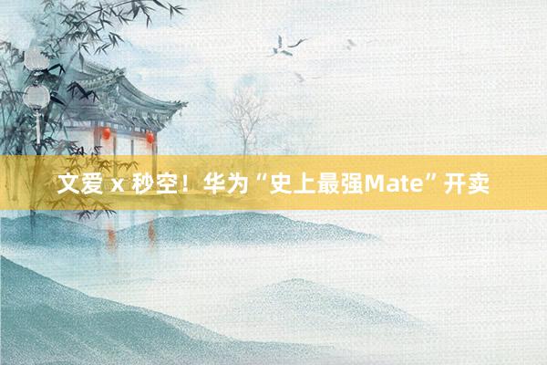 文爱 x 秒空！华为“史上最强Mate”开卖