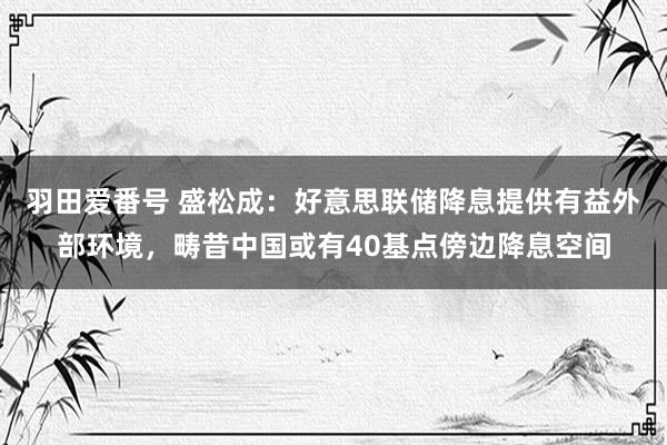 羽田爱番号 盛松成：好意思联储降息提供有益外部环境，畴昔中国或有40基点傍边降息空间