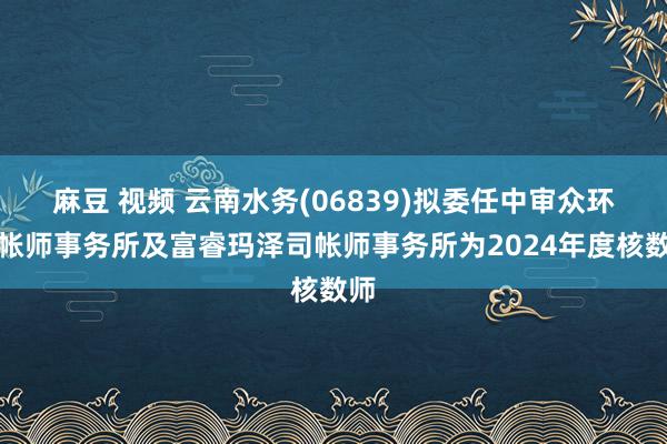 麻豆 视频 云南水务(06839)拟委任中审众环司帐师事务所及富睿玛泽司帐师事务所为2024年度核数师