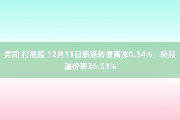 男同 打屁股 12月11日新港转债高涨0.54%，转股溢价率36.53%