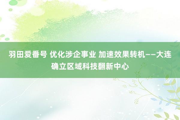 羽田爱番号 优化涉企事业 加速效果转机——大连确立区域科技翻新中心