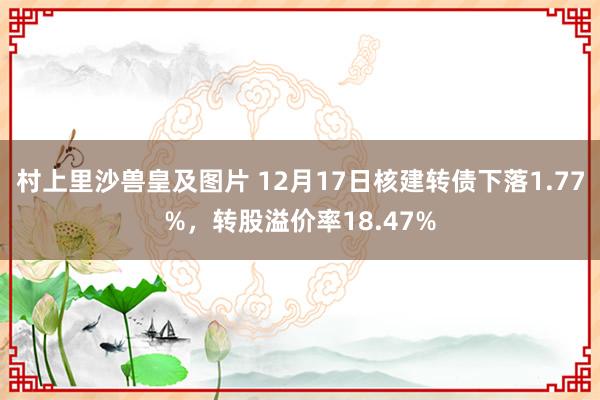 村上里沙兽皇及图片 12月17日核建转债下落1.77%，转股溢价率18.47%