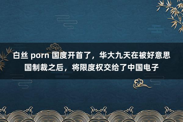 白丝 porn 国度开首了，华大九天在被好意思国制裁之后，将限度权交给了中国电子