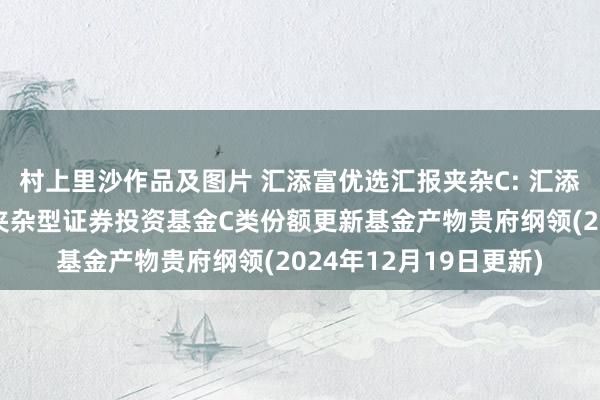 村上里沙作品及图片 汇添富优选汇报夹杂C: 汇添富优选汇报无邪建树夹杂型证券投资基金C类份额更新基金产物贵府纲领(2024年12月19日更新)