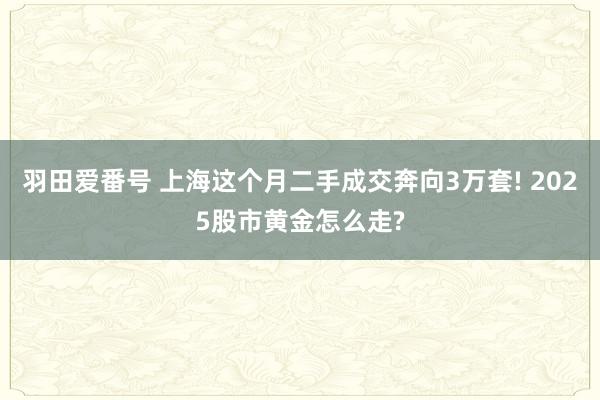 羽田爱番号 上海这个月二手成交奔向3万套! 2025股市黄金怎么走?