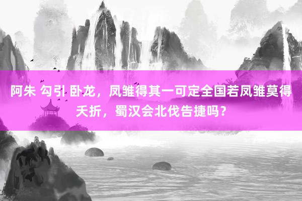 阿朱 勾引 卧龙，凤雏得其一可定全国若凤雏莫得夭折，蜀汉会北伐告捷吗？