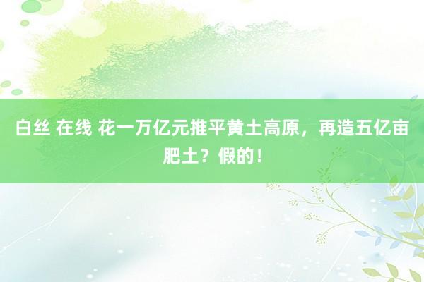 白丝 在线 花一万亿元推平黄土高原，再造五亿亩肥土？假的！