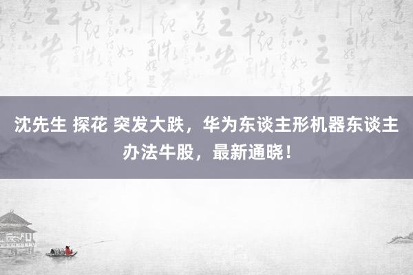 沈先生 探花 突发大跌，华为东谈主形机器东谈主办法牛股，最新通晓！