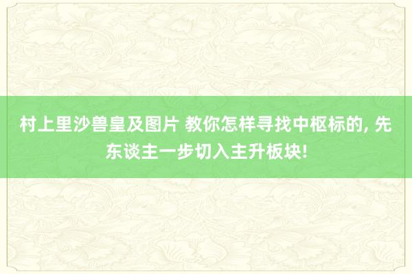 村上里沙兽皇及图片 教你怎样寻找中枢标的， 先东谈主一步切入主升板块!