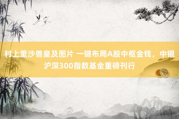 村上里沙兽皇及图片 一键布局A股中枢金钱，中银沪深300指数基金重磅刊行