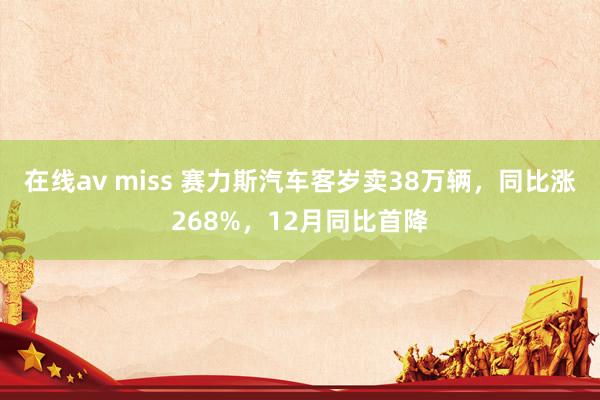 在线av miss 赛力斯汽车客岁卖38万辆，同比涨268%，12月同比首降