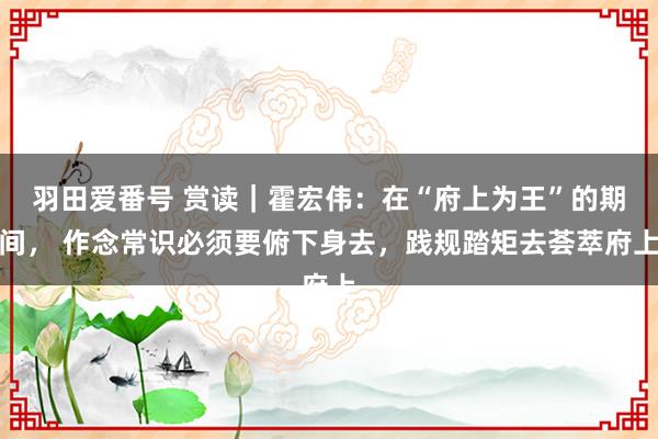 羽田爱番号 赏读｜霍宏伟：在“府上为王”的期间， 作念常识必须要俯下身去，践规踏矩去荟萃府上