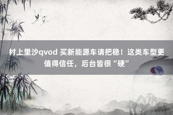 村上里沙qvod 买新能源车请把稳！这类车型更值得信任，后台皆很“硬”