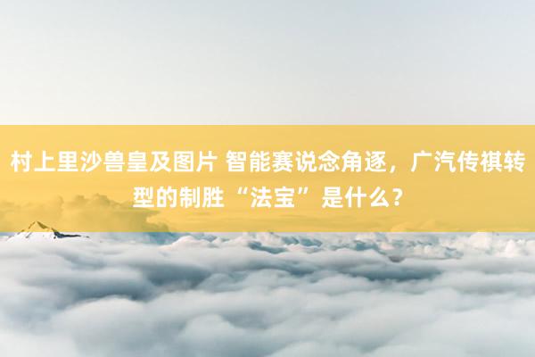 村上里沙兽皇及图片 智能赛说念角逐，广汽传祺转型的制胜 “法宝” 是什么？