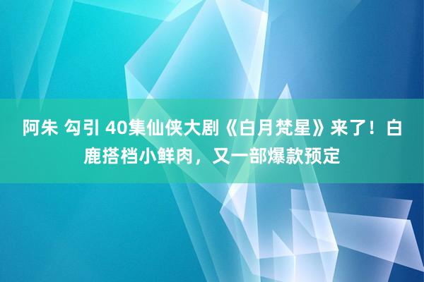 阿朱 勾引 40集仙侠大剧《白月梵星》来了！白鹿搭档小鲜肉，又一部爆款预定