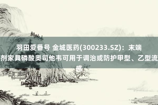 羽田爱番号 金城医药(300233.SZ)：末端制剂家具磷酸奥司他韦可用于调治或防护甲型、乙型流感