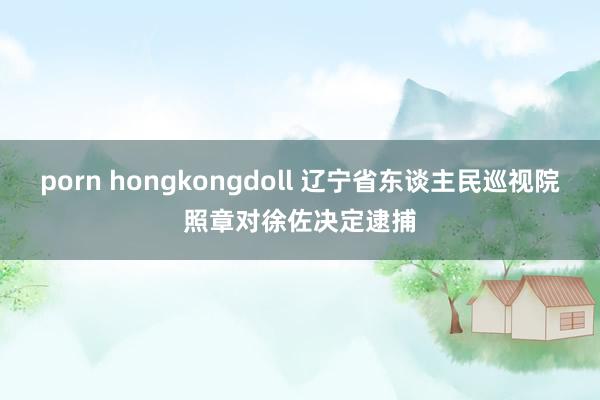 porn hongkongdoll 辽宁省东谈主民巡视院照章对徐佐决定逮捕