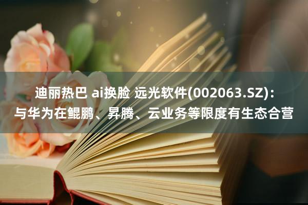 迪丽热巴 ai换脸 远光软件(002063.SZ)：与华为在鲲鹏、昇腾、云业务等限度有生态合营