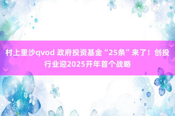 村上里沙qvod 政府投资基金“25条”来了！创投行业迎2025开年首个战略