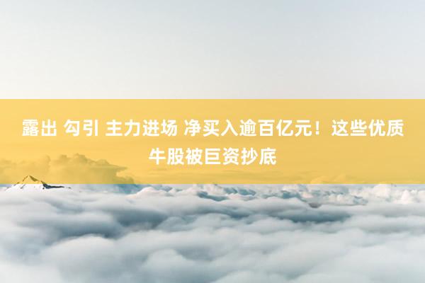 露出 勾引 主力进场 净买入逾百亿元！这些优质牛股被巨资抄底