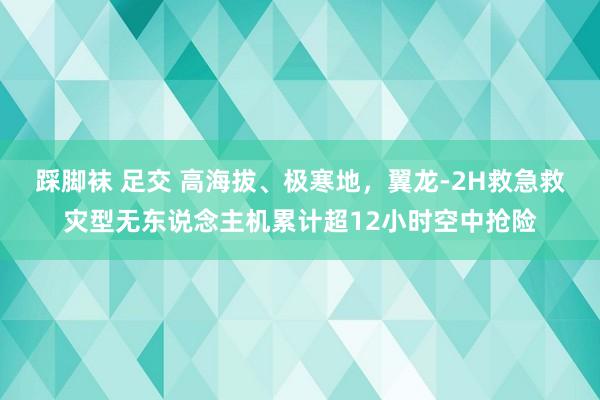 踩脚袜 足交 高海拔、极寒地，翼龙-2H救急救灾型无东说念主机累计超12小时空中抢险