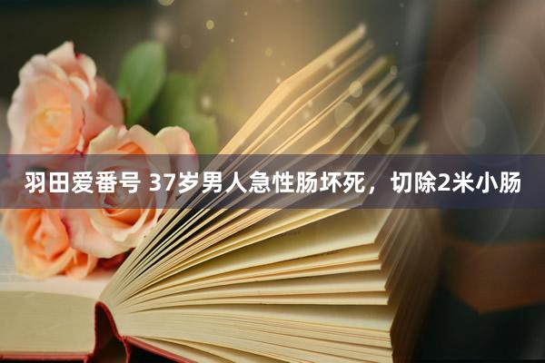 羽田爱番号 37岁男人急性肠坏死，切除2米小肠