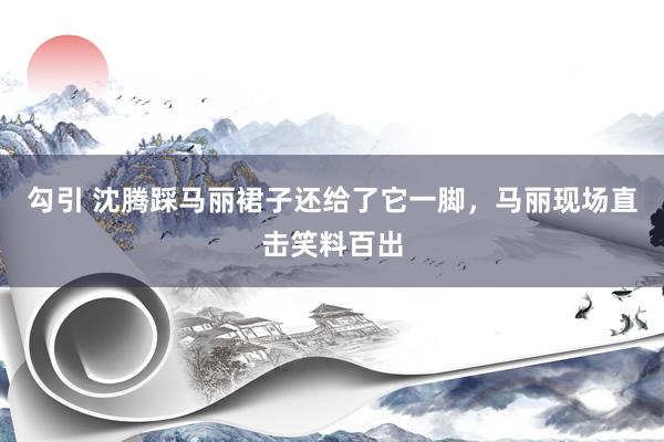 勾引 沈腾踩马丽裙子还给了它一脚，马丽现场直击笑料百出