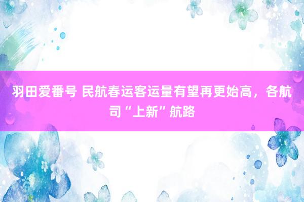 羽田爱番号 民航春运客运量有望再更始高，各航司“上新”航路