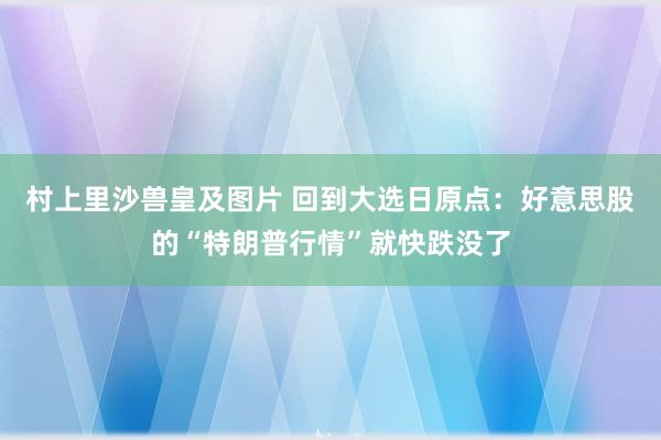 村上里沙兽皇及图片 回到大选日原点：好意思股的“特朗普行情”就快跌没了