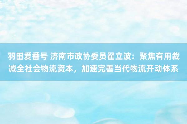 羽田爱番号 济南市政协委员翟立波：聚焦有用裁减全社会物流资本，加速完善当代物流开动体系