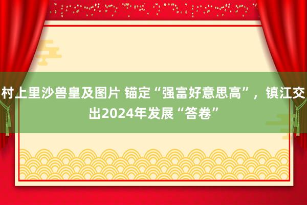 村上里沙兽皇及图片 锚定“强富好意思高”，镇江交出2024年发展“答卷”