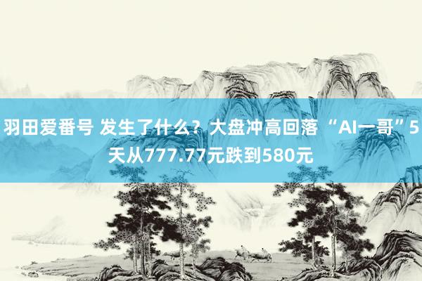 羽田爱番号 发生了什么？大盘冲高回落 “AI一哥”5天从777.77元跌到580元